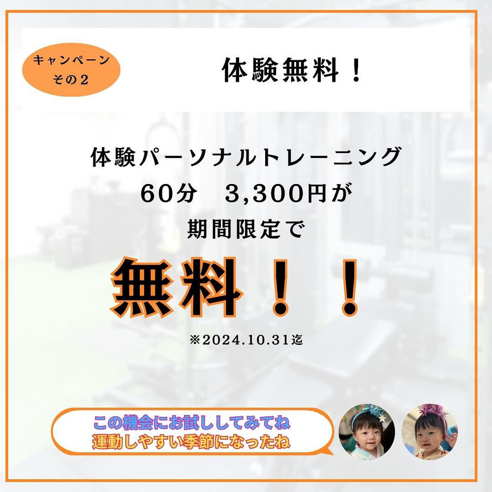 ブログ画像